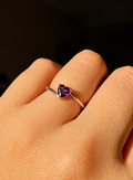 Anillo Violeta