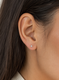 Aros Stella